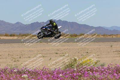 media/Mar-12-2023-SoCal Trackdays (Sun) [[d4c8249724]]/Turn 15 Inside Bloom (130pm)/